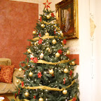 Albero di Natale
di Concetta Casola
