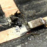 SPDT shunt diode switch,the diode is sooooo small