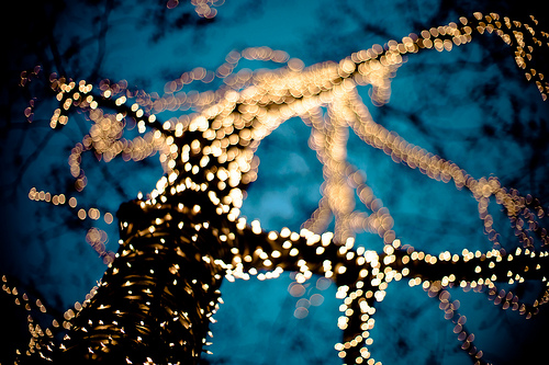 Treelights