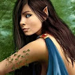 Elven Warrior