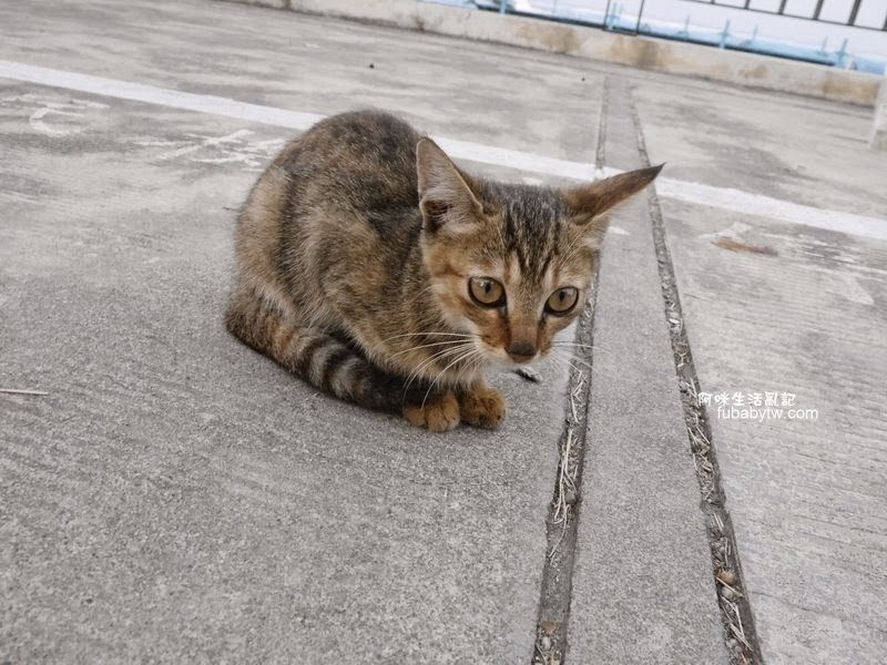 調整大小P1000851 調整大小P1000851