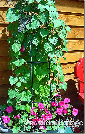 home 021 home 021