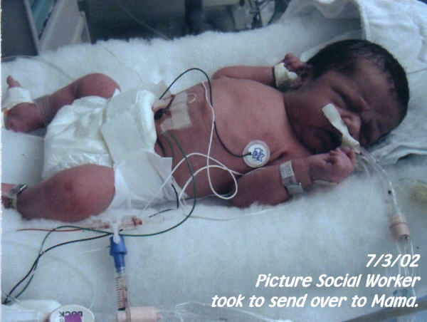 [baby%2520nigel%25205%255B6%255D.jpg]