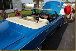DSC_6092 (800x532)