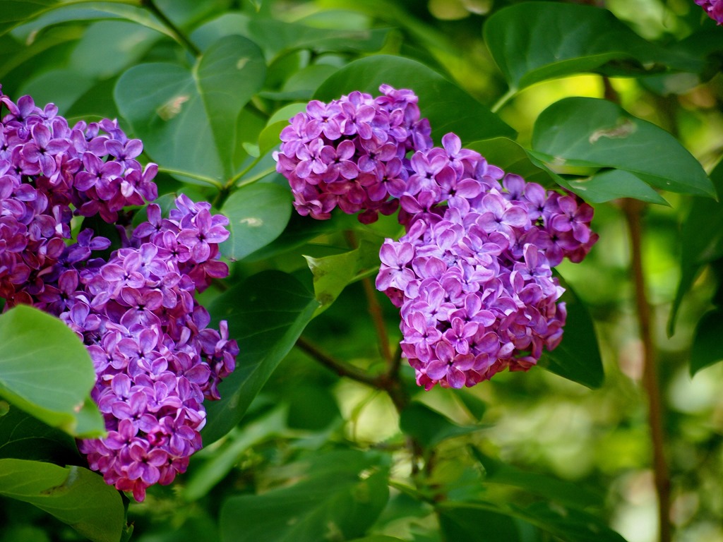 [6%2520June%25201-001%255B3%255D.jpg]