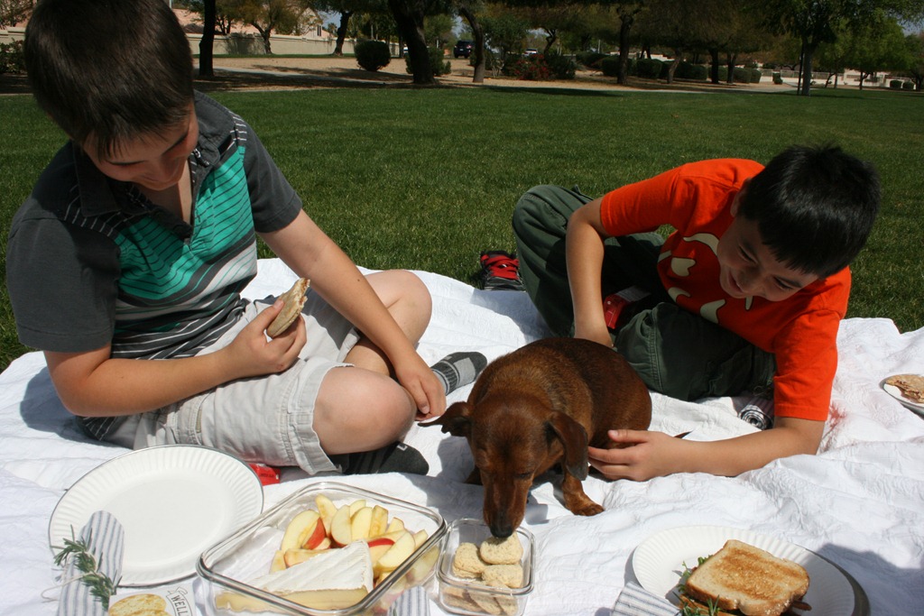 [coat%2520bacon%2520091%255B3%255D.jpg]