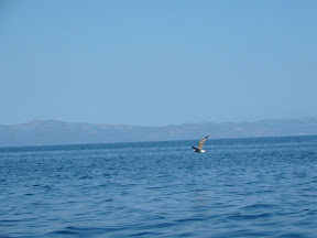 IMG_0021.jpg