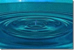 wasser wasser
