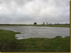 IMG_2328 field flood