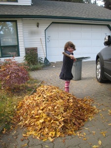 raking