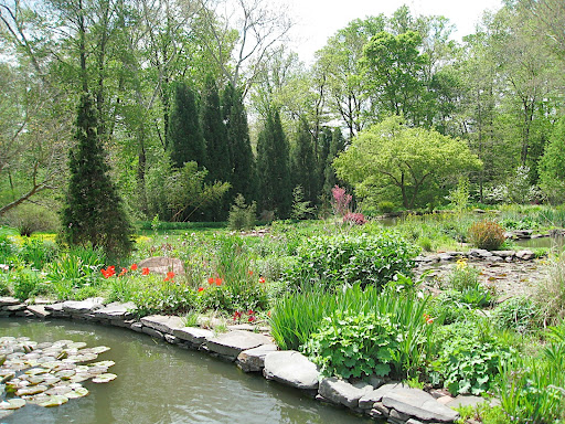 The ponds are lined with stone, as are the natural water courses throughout the garden.