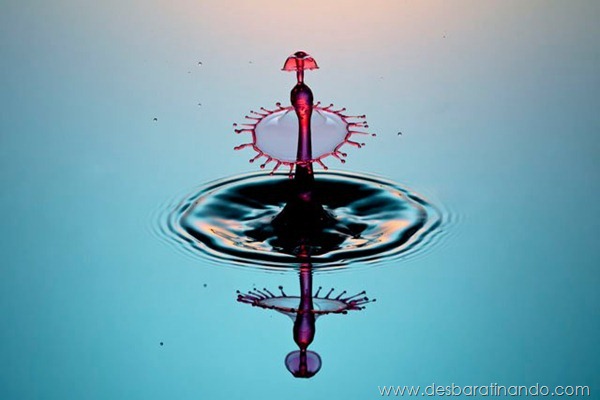 liquid-drop-art-gotas-caindo-foto-velocidade-hora-certa-desbaratinando (107) liquid-drop-art-gotas-caindo-foto-velocidade-hora-certa-desbaratinando (107)