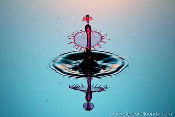 liquid-drop-art-gotas-caindo-foto-velocidade-hora-certa-desbaratinando (107)