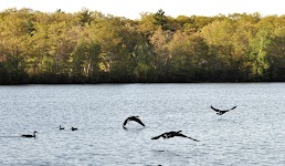 DSC_0188_new.jpg