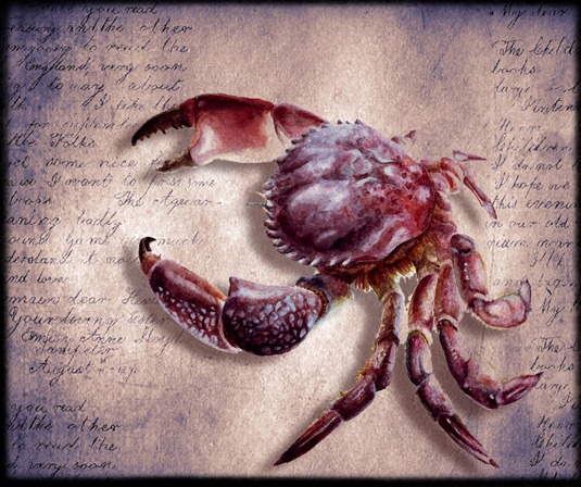 el cangrejo