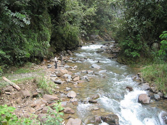 Rio (1100 m) entre Coroico et Caranavi (Bolivie), 14 janvier 2004. Photo : H. Bloch