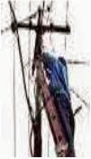 clip_image003