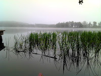 DSC00252.JPG Photo
