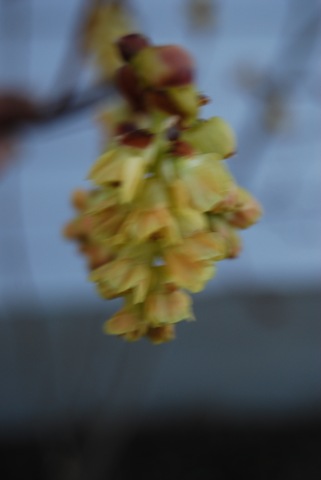 [DSC_0602%255B2%255D.jpg]