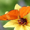 IMG_8500 E.jpg