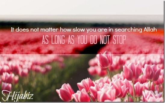 It does not matter how slow you are in searching Allah as LONG as You Do Not STOP