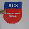 DSCN0104 cópia.jpg