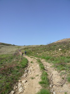 [P1140497%255B3%255D.jpg]