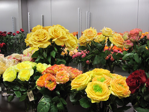 These roses are available for purchase at the store.