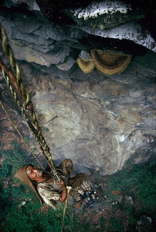 honey-hunters-nepal-11 honey-hunters-nepal-11