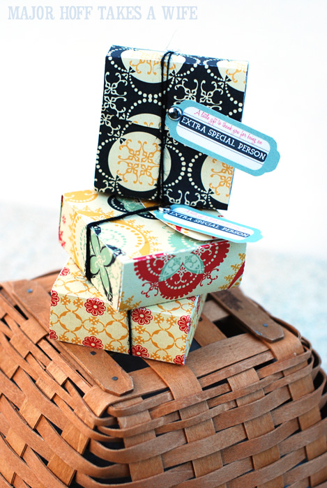 A little something extra for those extra special people in your life. A quick, easy and inexpensive way to show thanks to those special people in your life. Brighten the day of the people you see often: teachers, doctors, the toll booth attendant--anyone who can use a pick me up. A little bit goes a long way. Includes free printables and a free SVG file for cutting machines. A little something extra for those extra special people in your life