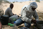 Sahara Tunisia_2009.04.06 347.JPG