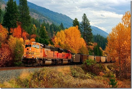 autumn_001 autumn_001