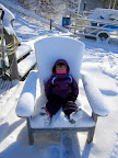 Polly, relaxing in the snow