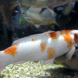 Lakes Aquarium