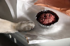 I needed some time to work on her birthday surprise.  I'm making meatball cupcakes for our celebration!  Our Franny turns 7 today!