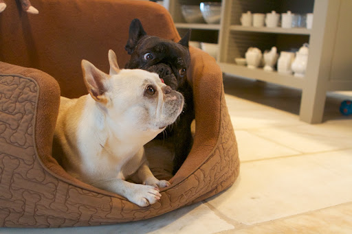 Of course, there's another very special person in our lives taking such good care of us.