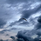 20100827_208_small.JPG
