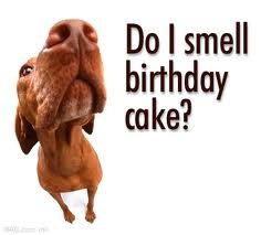 [birthday%255B2%255D.jpg]