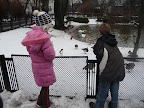 Zobacz Zoo