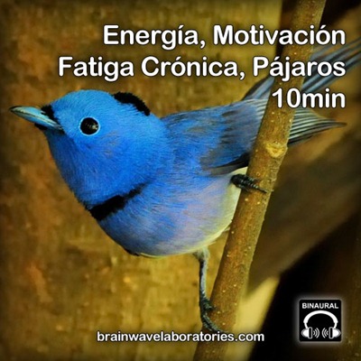 Energ&iacute;a, Motivaci&oacute;n, Fatiga Cr&oacute;nica con P&aacute;jaros de Fondo - 10min