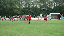 2011 - 10 JUN - WVV F4 TER APEL TOERNOOI 013.jpg