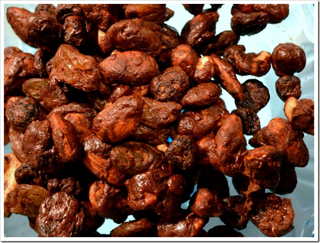 Nuts and Raisins in Chocolate Cinnamon