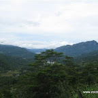 l062.jpg