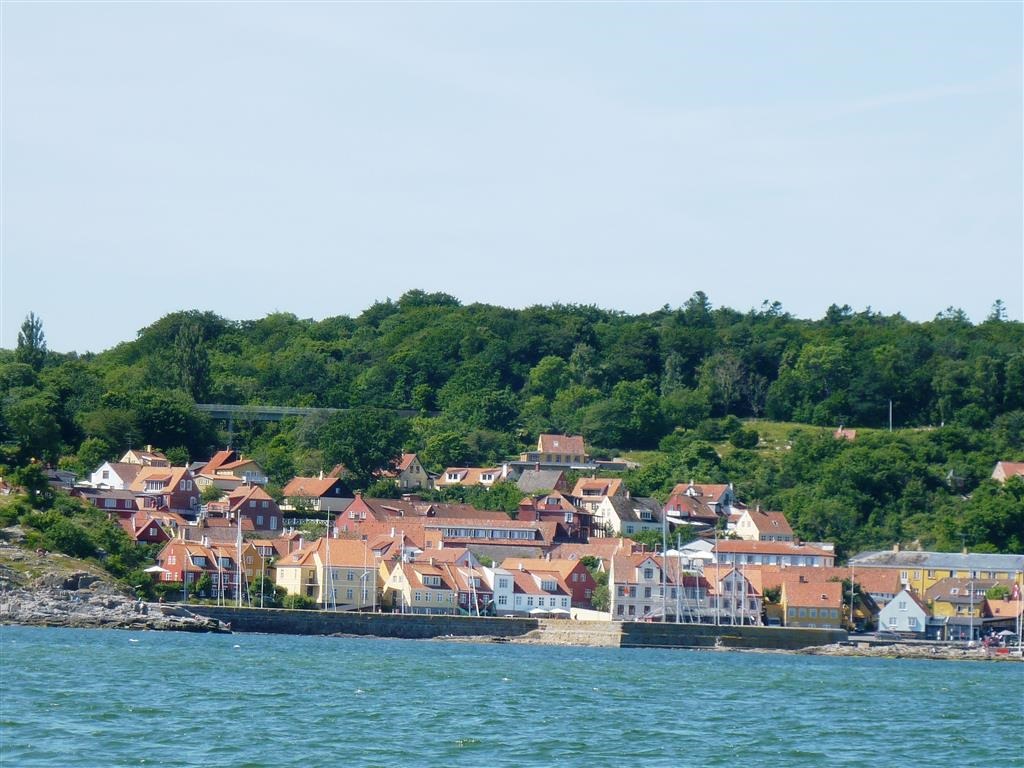 [P1030626-Medium2.jpg]