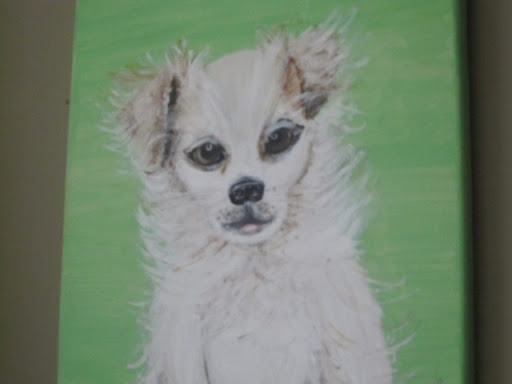 And then there were tributes to some special Chis that had passed on. This was Josie. What a love!