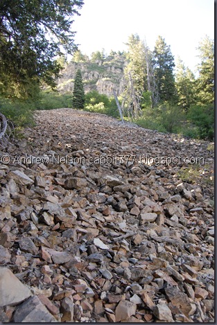 DSC_0031 DSC_0031