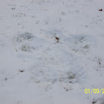 000_0038.JPG