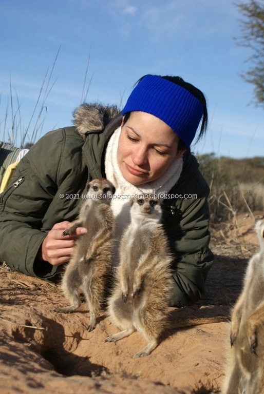 [Sarah%2520with%2520Meerkats3%255B25%255D.jpg]