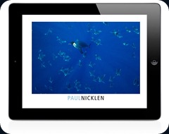 nicklen_01 nicklen_01