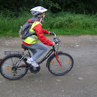 carfreeday 013.jpg